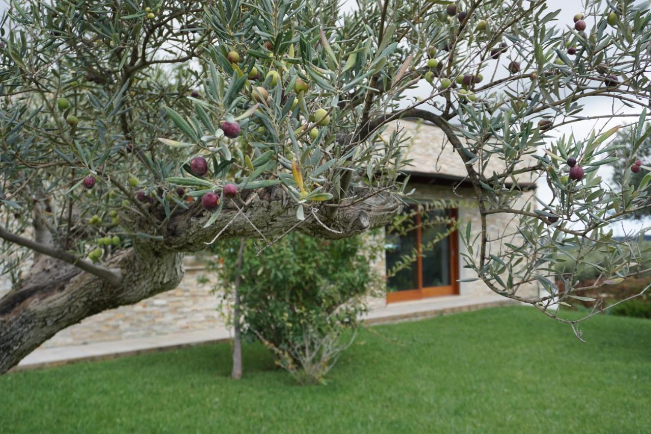 Bed and Breakfast Gioia In Collina Torrevecchia Teatina Zewnętrze zdjęcie